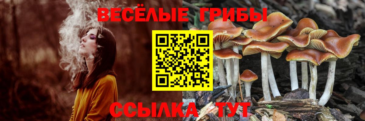 Псилоцибиновые грибы GOLDEN TEACHER  Вход с VPN  Брянск 